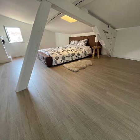 Duplex Quartier Saint-Sernin, Toulouse Lejlighed Eksteriør billede