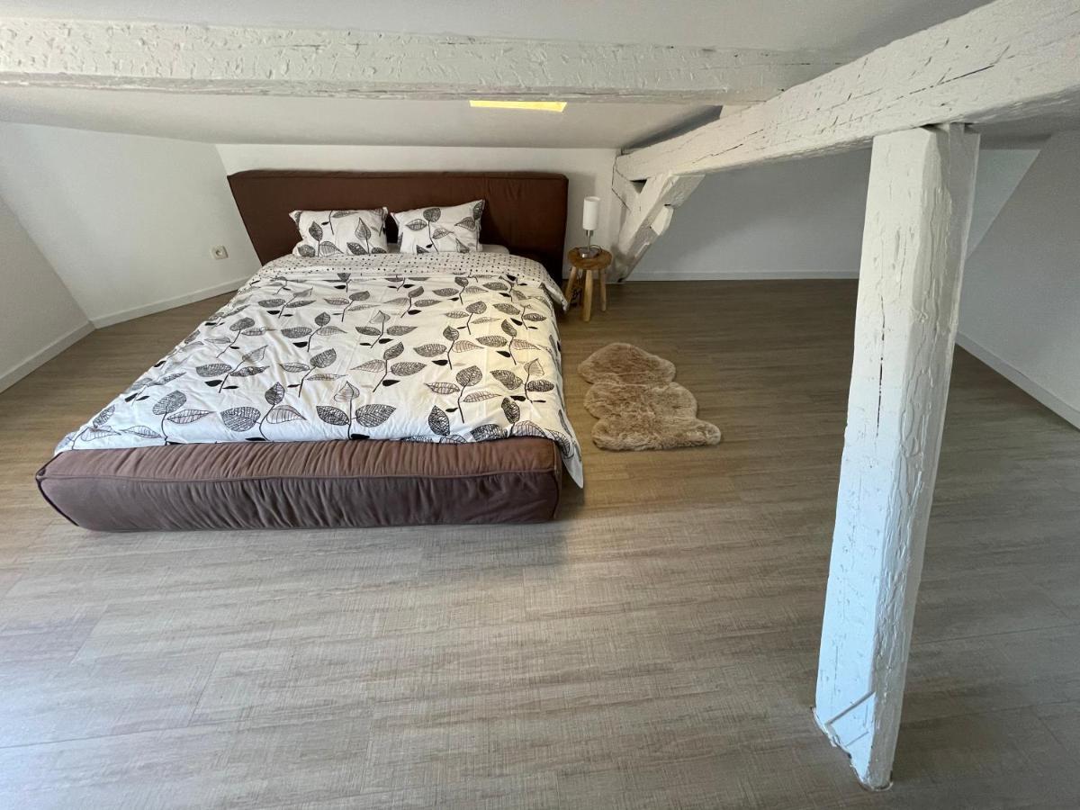 Duplex Quartier Saint-Sernin, Toulouse Lejlighed Eksteriør billede